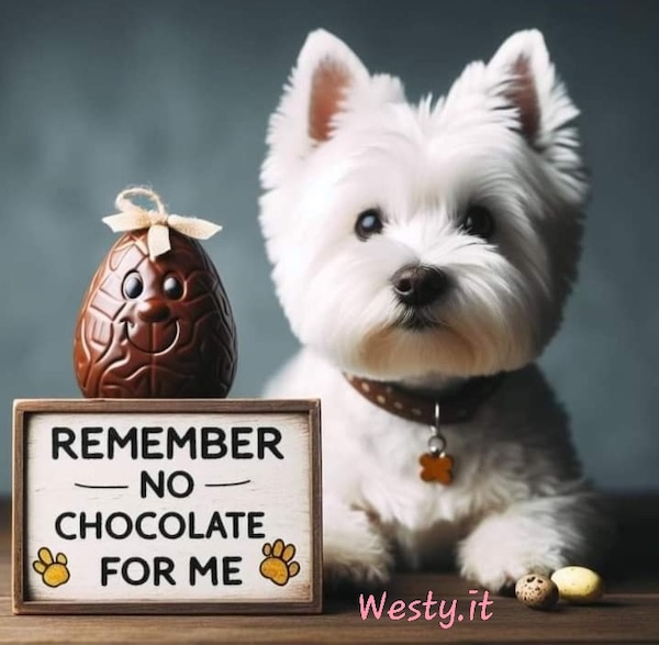 https://www.westy.it/varie/FRASI/GREG2026-04-04.jpg