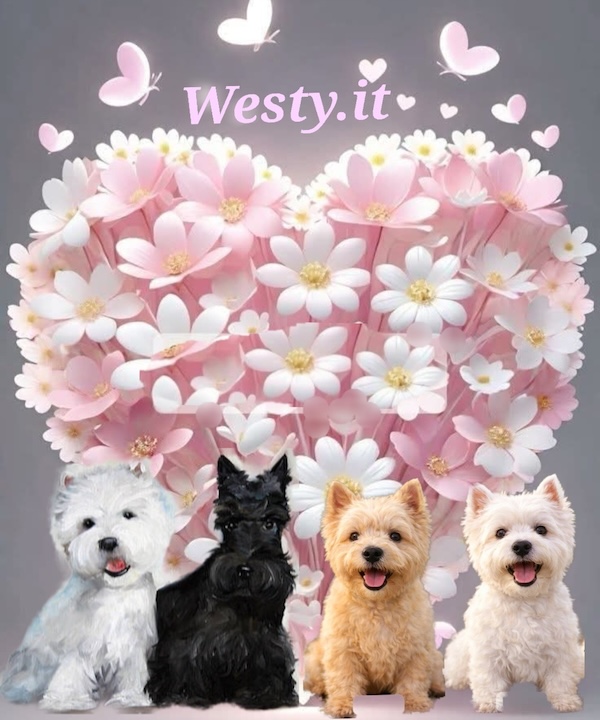 https://www.westy.it/varie/FRASI/GREG2026-04-16.jpg