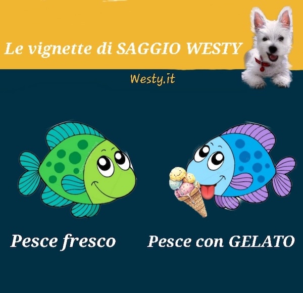 https://www.westy.it/varie/FRASI/GREG2026-04-21.jpg