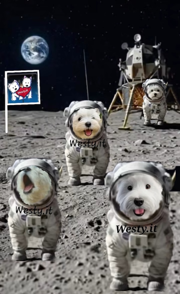 https://www.westy.it/varie/FRASI/GREG2026-05-04.jpg