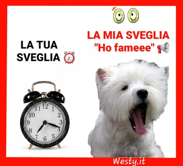 https://www.westy.it/varie/FRASI/GREG2026-05-14.jpg