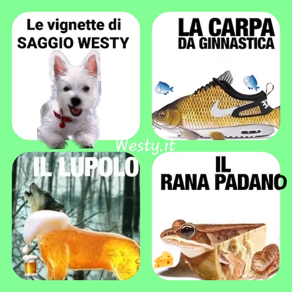 https://www.westy.it/varie/FRASI/GREG2026-05-25.jpg