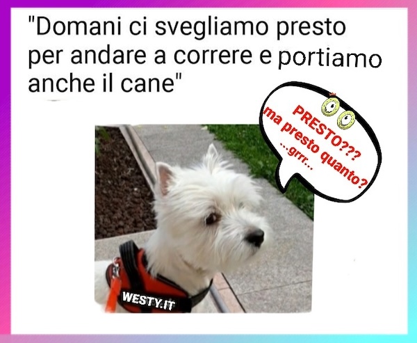 https://www.westy.it/varie/FRASI/GREG2026-05-29.jpg