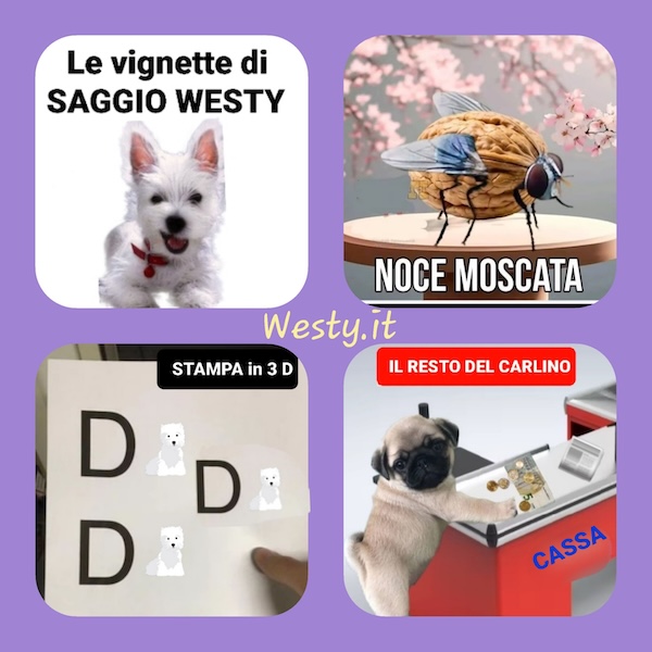 https://www.westy.it/varie/FRASI/GREG2026-05-31.jpg