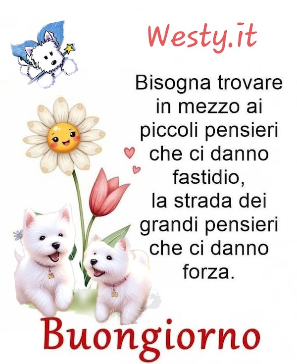 https://www.westy.it/varie/FRASI/GREG2026-06-03.jpg