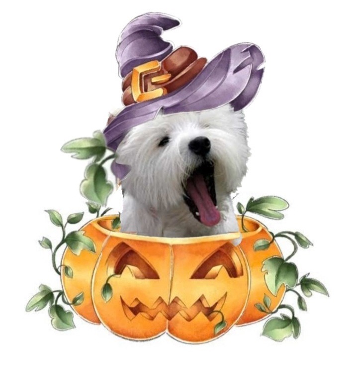Westy Halloween